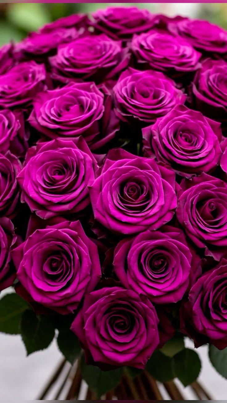 Corporate meeting room with carefully timed floral arrangements that maintain elegance throughout business hours